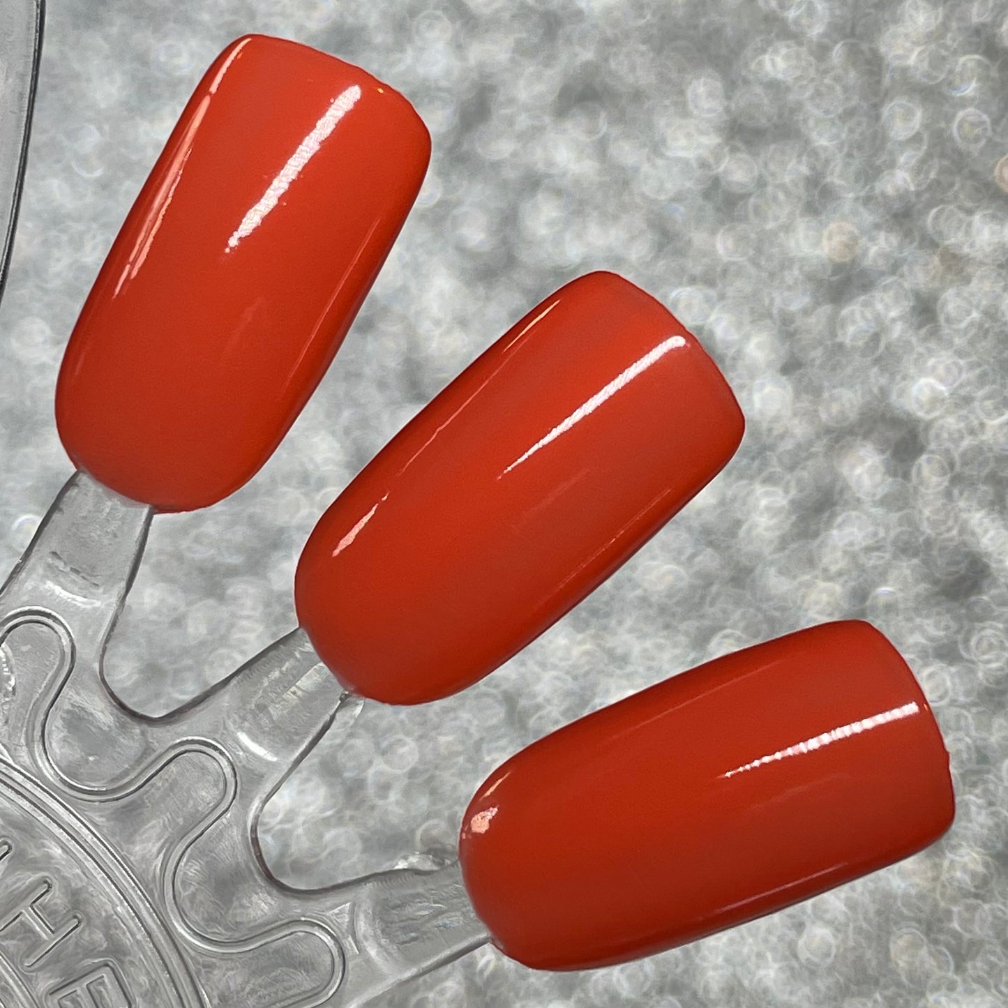 Sass Squash - Orange Nail Polish - Cream Nail Polish - Fall Nail Polish - Autumn Harvest Creams - Dam Nail Polish