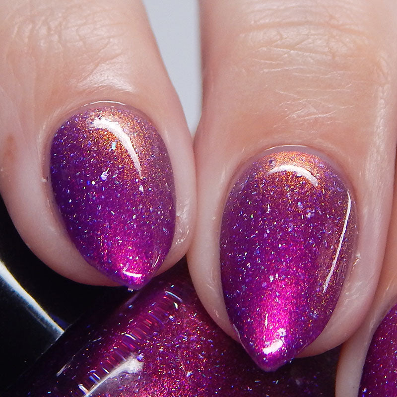 Beefing in Kobe - Purple Shimmer Polish - Journey Through Japan Collection - Dam Nail Polish