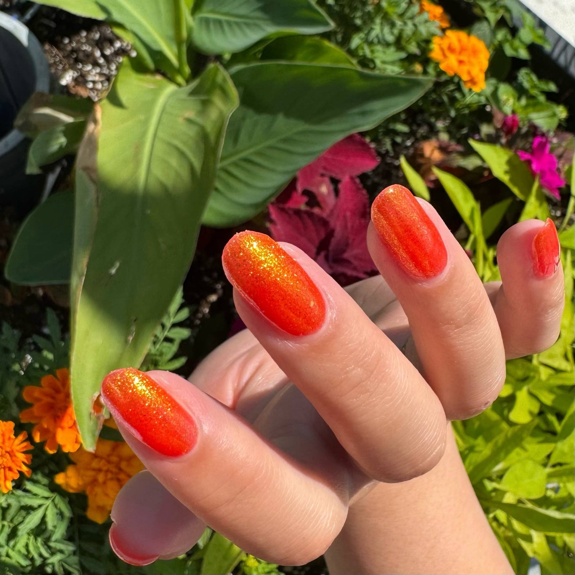 Creep - Orange Shimmer Nail Polish - Bonus Track Collection - Dam Nail Polish