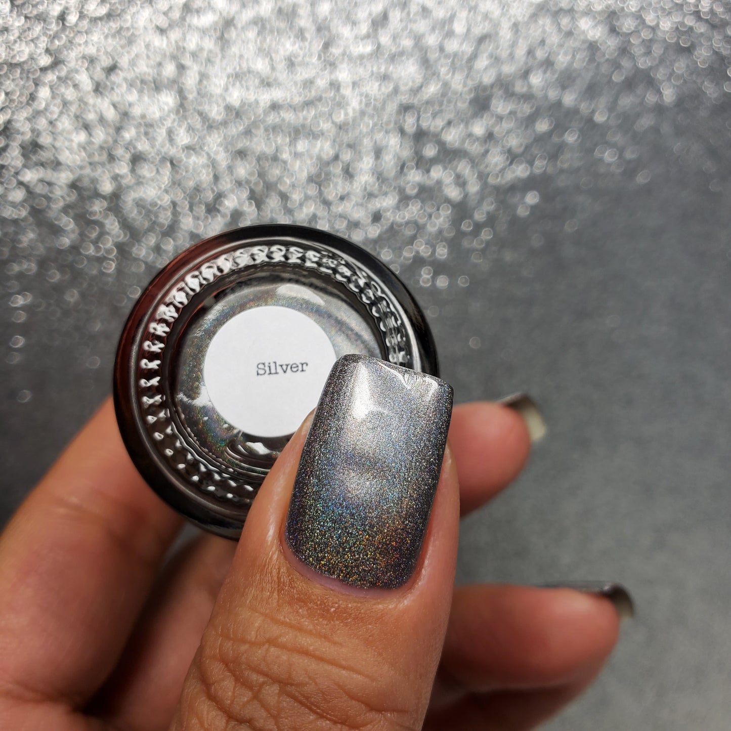 Silver - Jewelry Box Holos - Holographic Nail Polish - Dam