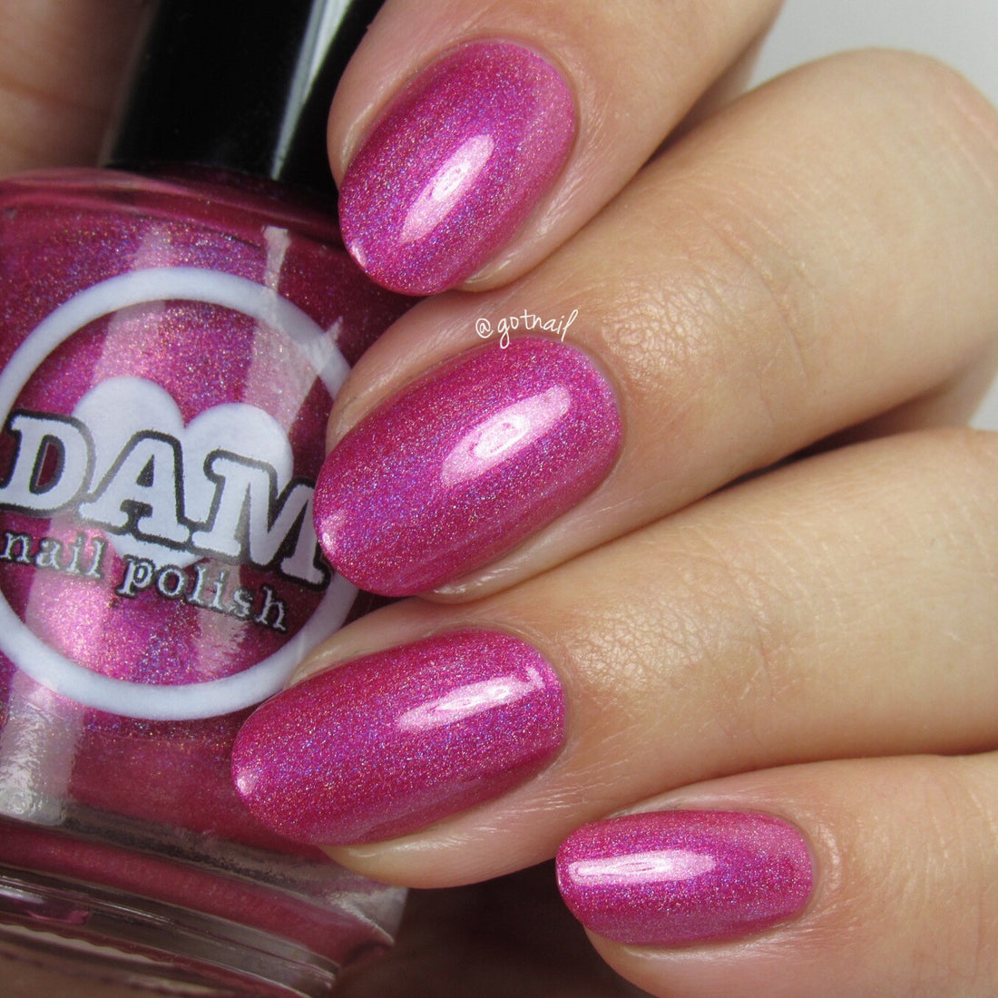 Holo World - Pre Order Available Now!