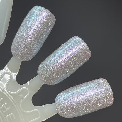 COMING SOON 2/27 NOON ET! Everybody - Silver Nail Polish - Reflective Nail Polish - Glitter Nail Polish - Polish of the Month - March 2026 - Dam Nail Polish