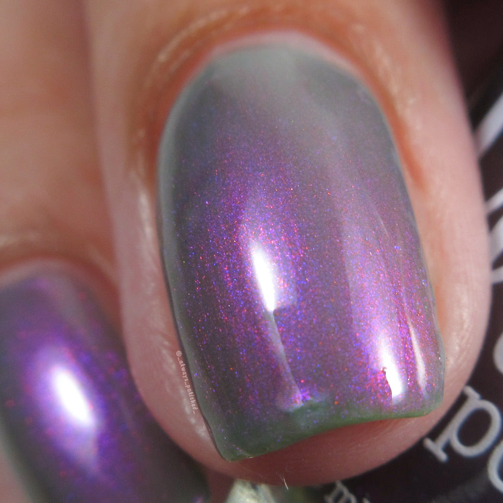 Don’t Be Ghoulish - Gray Nail Polish - Shimmer Nail Polish - Ghostly Collection - Halloween 2025 - Dam Nail Polish