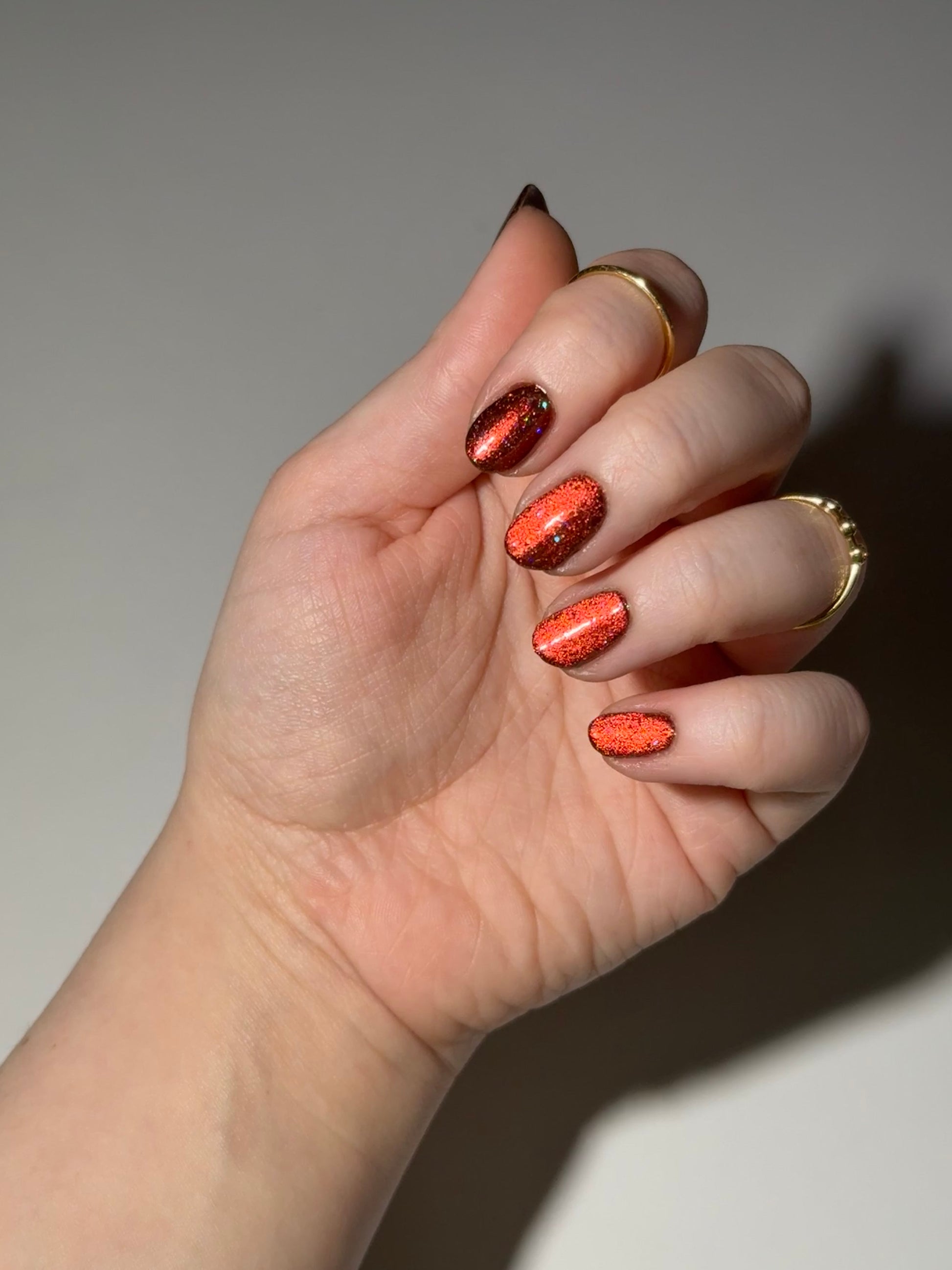 Rooster - Black Magnetic Nail Polish - Red Orange Magnetic Nail Polish - Chinese Zodiac Collection - Dam Nail Polish