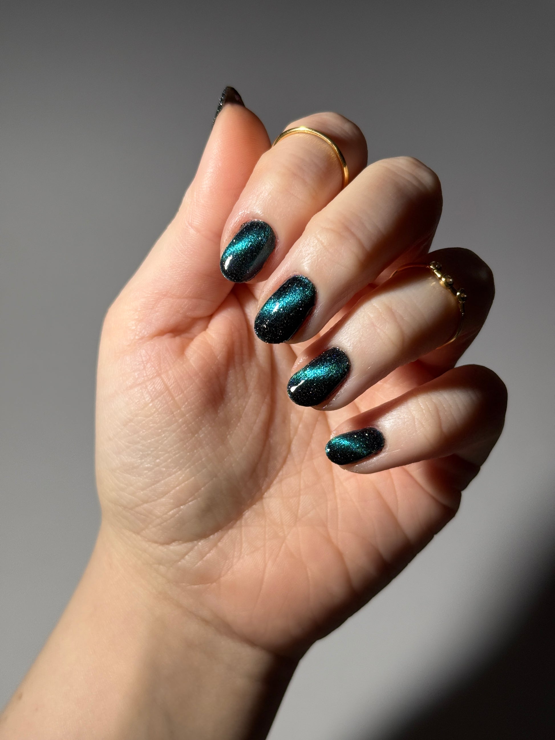 Dog - Black Magnetic Nail Polish - Green Teal Magnetic Nail Polish - Chinese Zodiac Collection - Dam Nail Polish