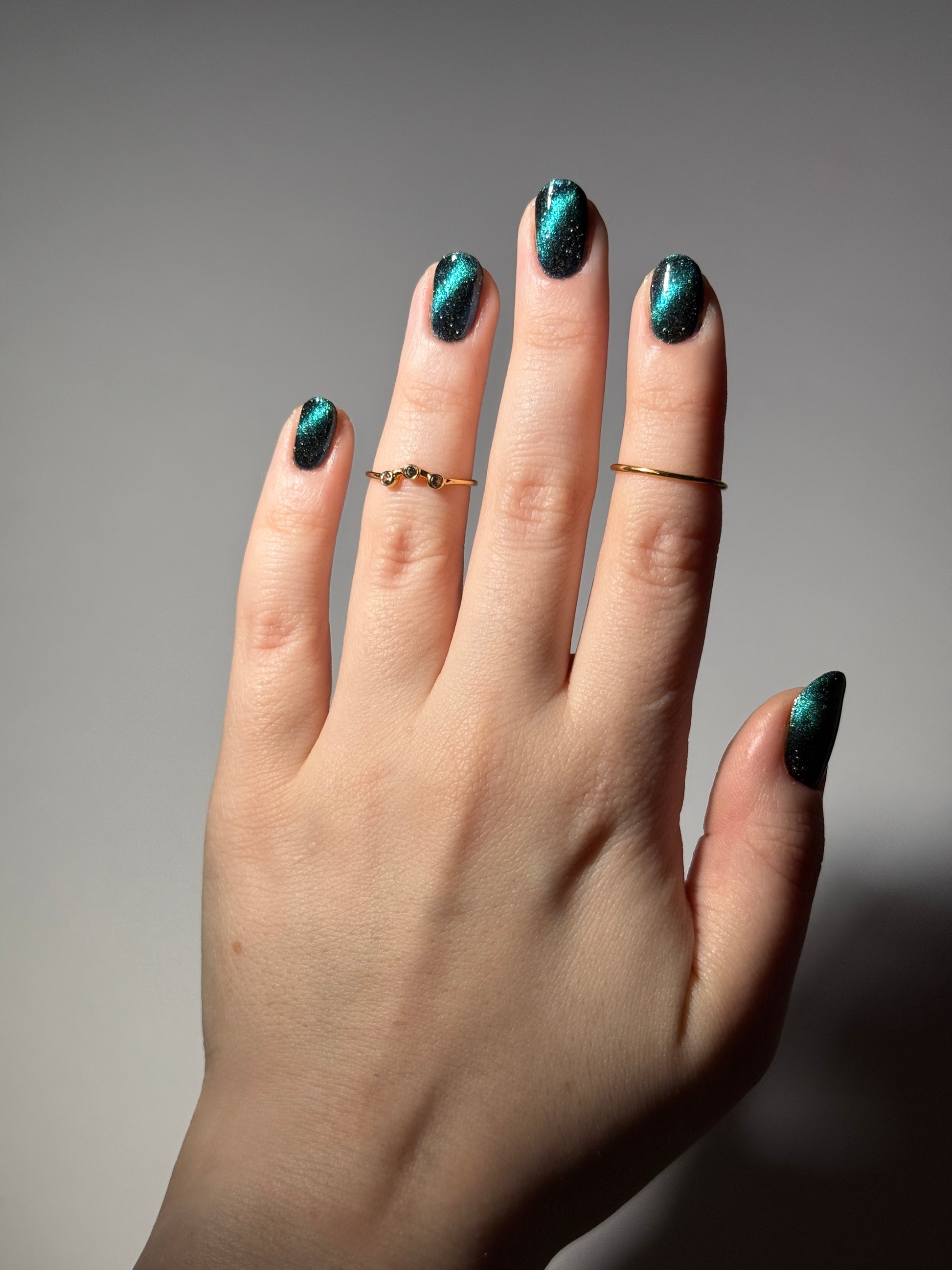 Dog - Black Magnetic Nail Polish - Green Teal Magnetic Nail Polish - Chinese Zodiac Collection - Dam Nail Polish