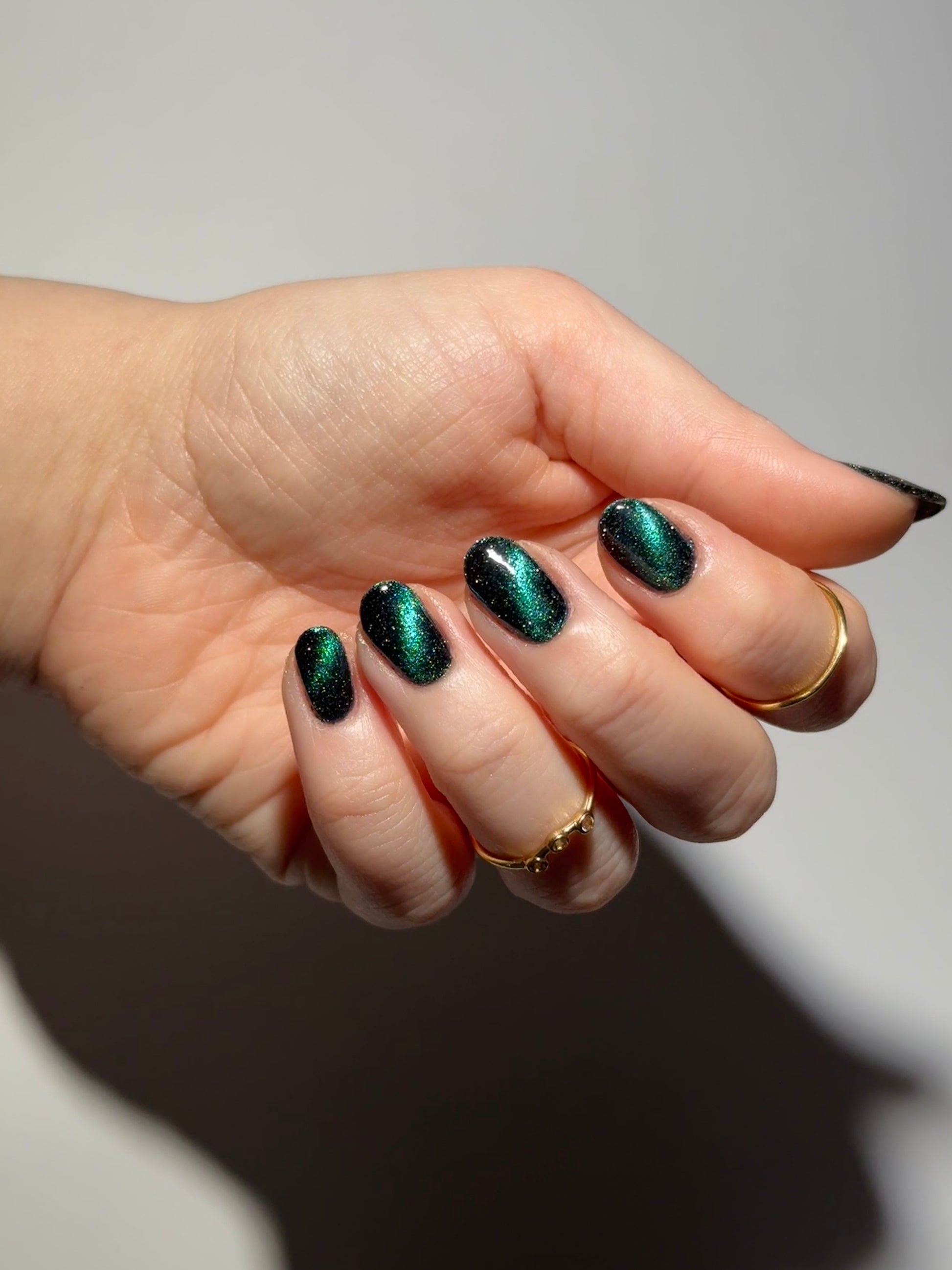 Dog - Black Magnetic Nail Polish - Green Teal Magnetic Nail Polish - Chinese Zodiac Collection - Dam Nail Polish