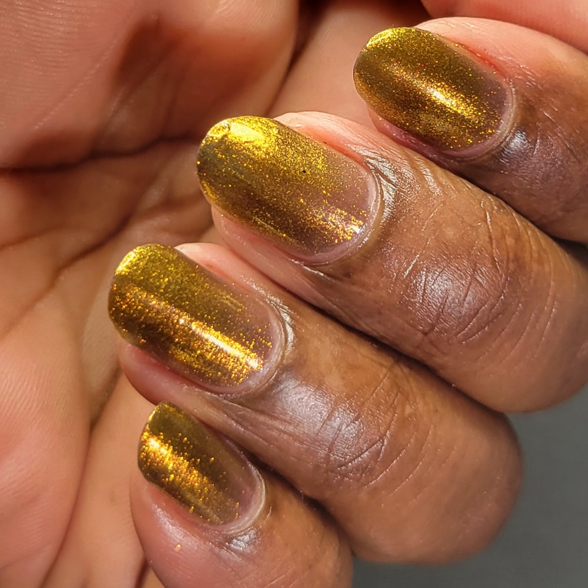 Ox - Brown Shimmer Nail Polish - Chinese Zodiac Collection - Dam Nail Polish