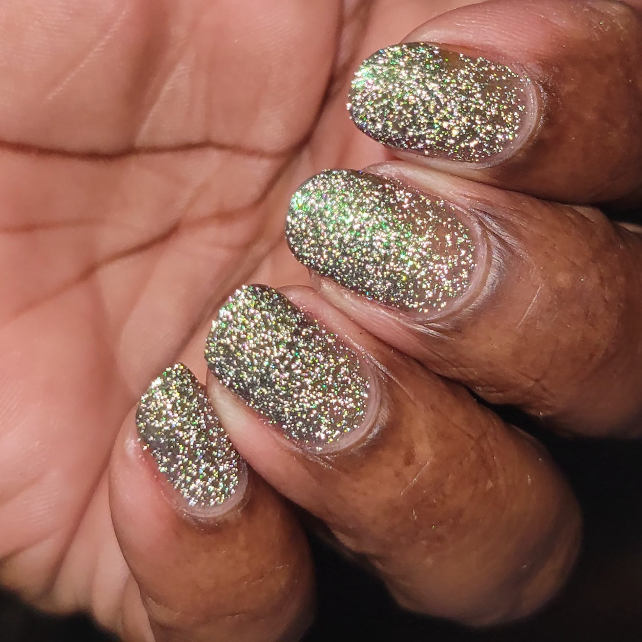 Rat - Green Purple Reflective Nail Polish - Chinese Zodiac Collection - Dam Nail Polish