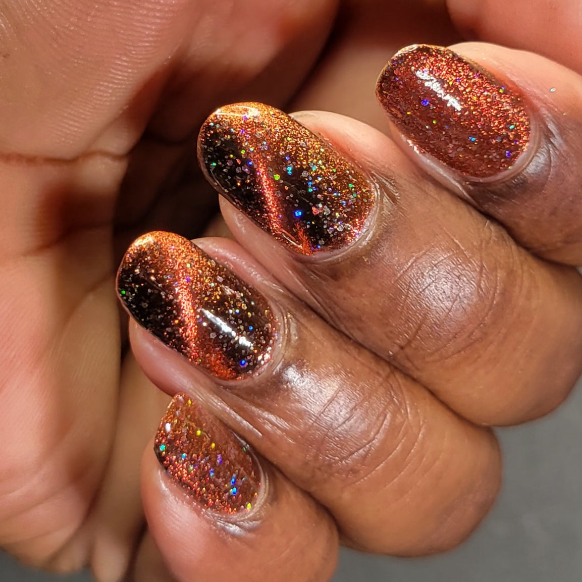 Rooster - Black Magnetic Nail Polish - Red Orange Magnetic Nail Polish - Chinese Zodiac Collection - Dam Nail Polish