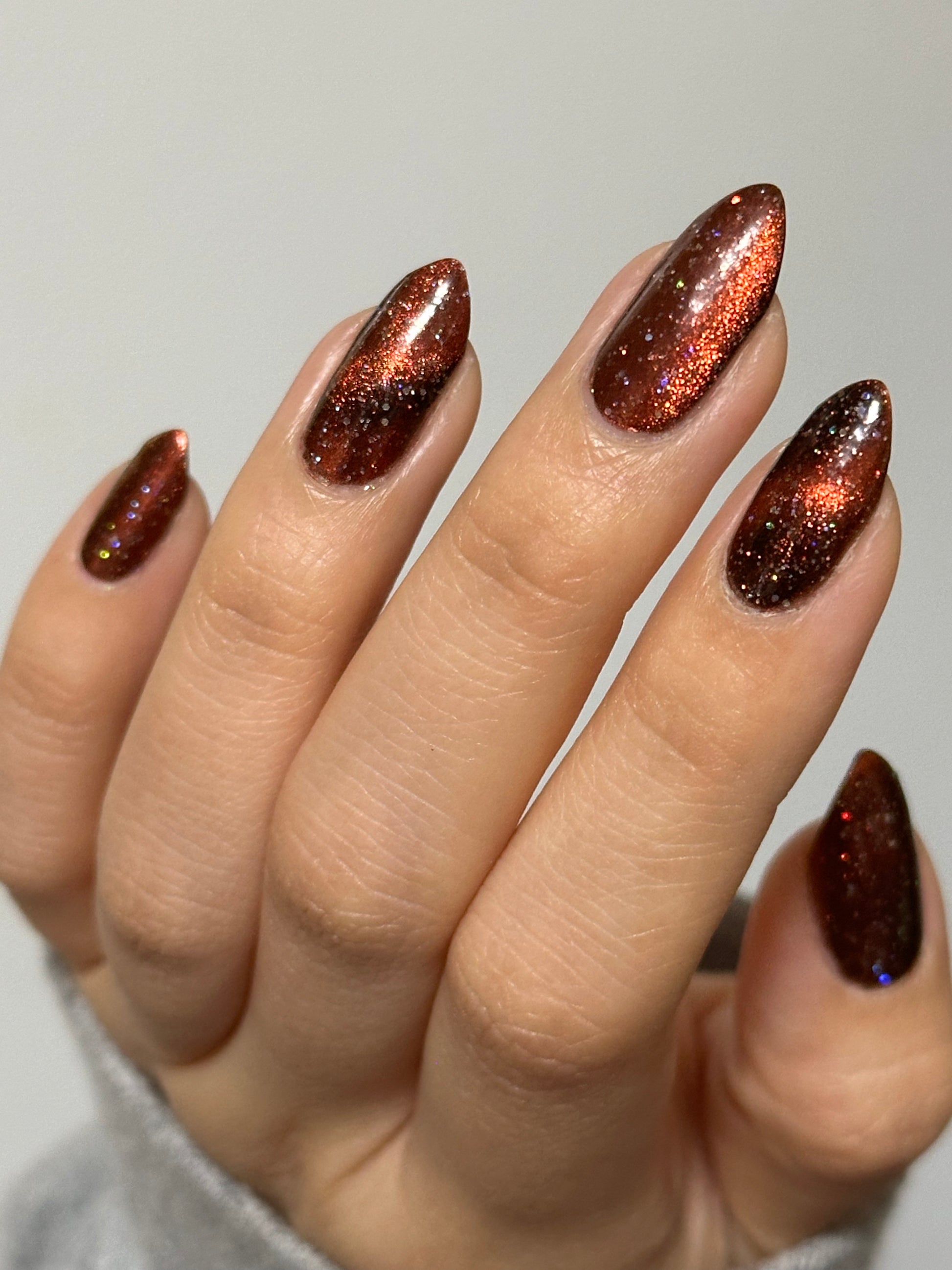 Rooster - Black Magnetic Nail Polish - Red Orange Magnetic Nail Polish - Chinese Zodiac Collection - Dam Nail Polish