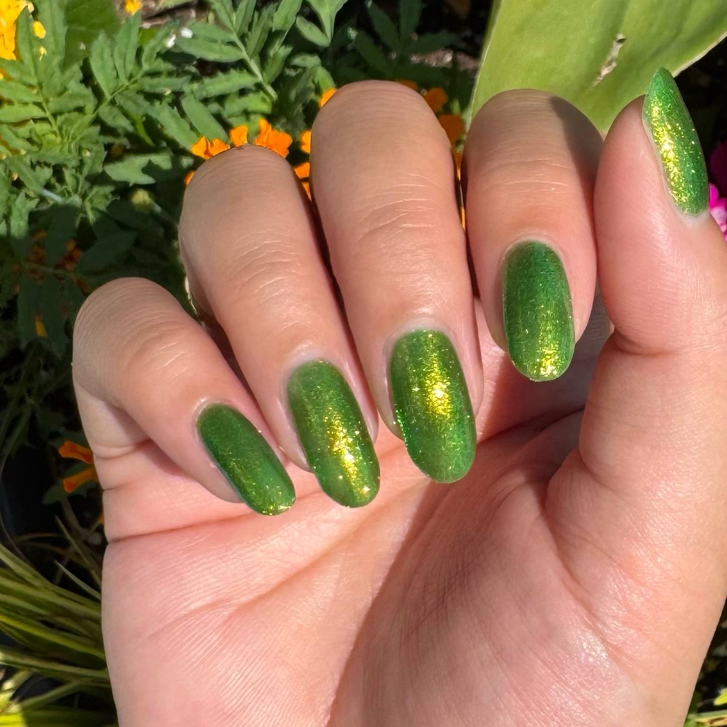 Maps - Lime Green Shimmer Nail Polish - Bonus Track Collection - Dam Nail Polish