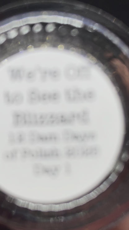 COMING SOON 2/27 NOON ET! PRE ORDER: We’re Off to See the Blizzard - Blue Nail Polish - Reflective Nail Polish - Glitter Nail Polish - 12 Dam Days of Polish 2025 - Turnaround time ~5 weeks