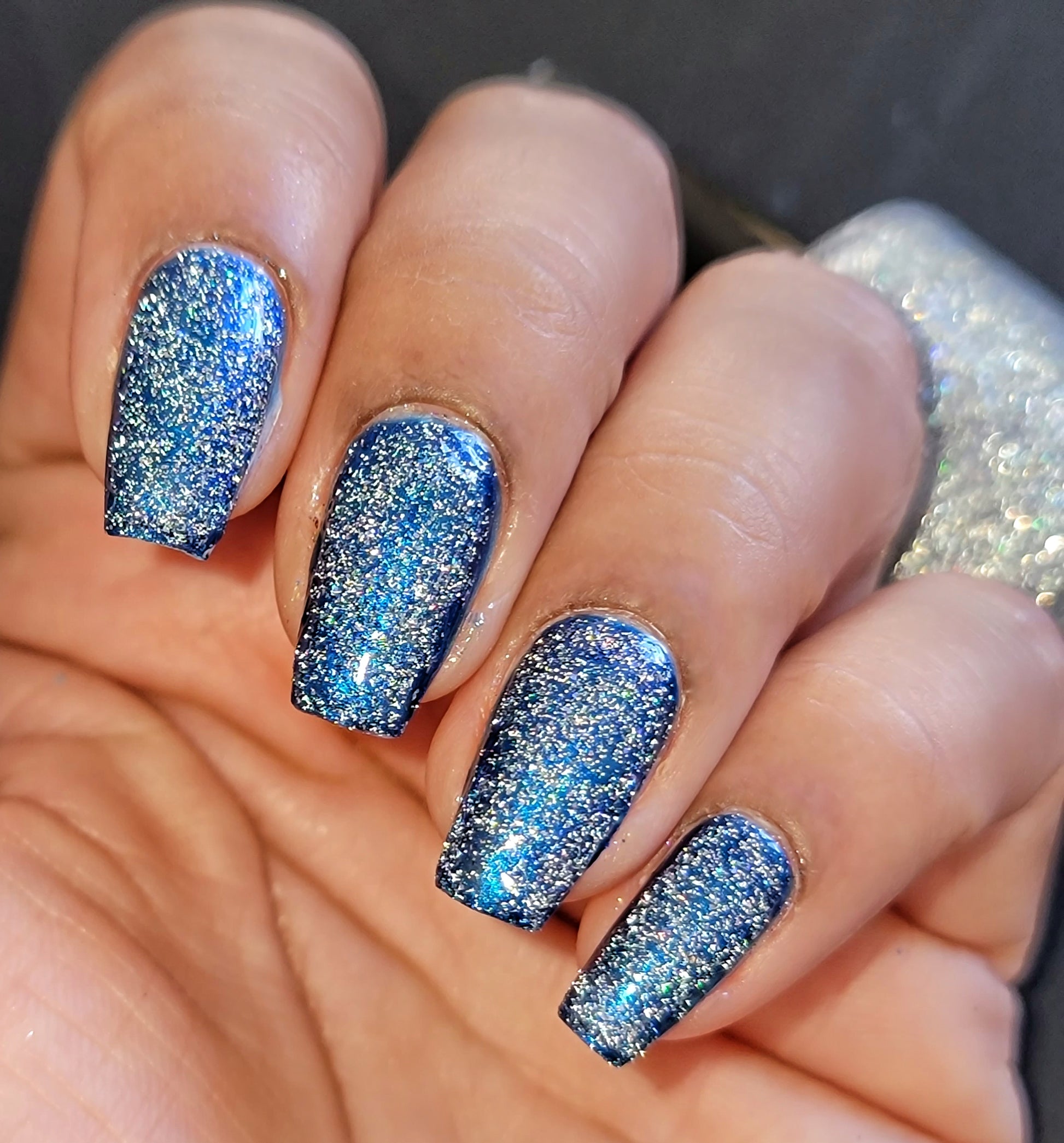 Go Fish - Silver Holographic Reflective Glitter Nail Polish - Dam Nail Polish